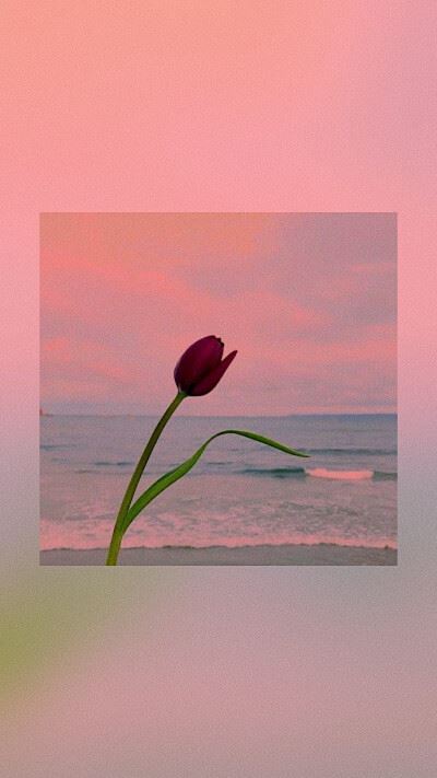 头像女ins高级质感