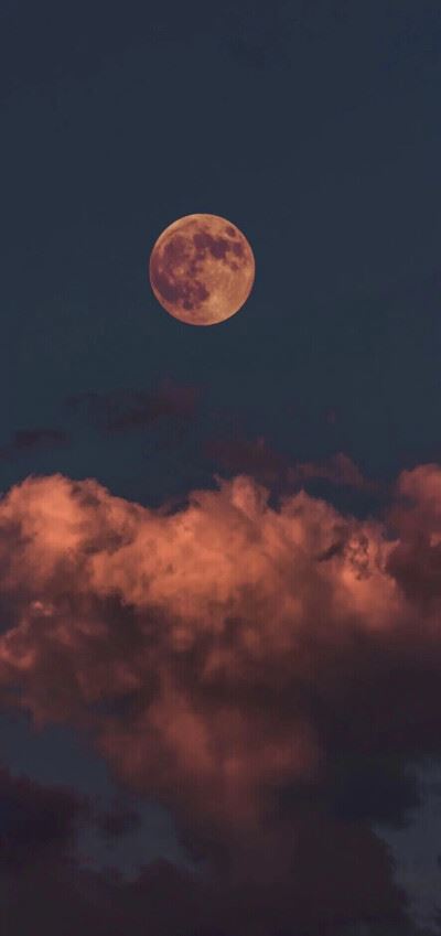 头像女ins高级质感