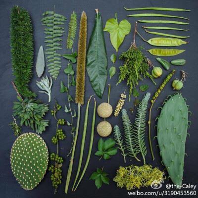 微信头像简单漂亮