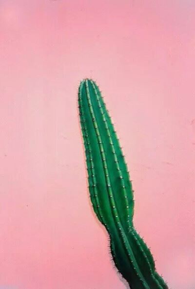 头像女下半部位图片透明高清