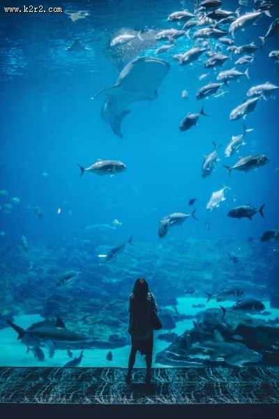 游览水族馆的人图片