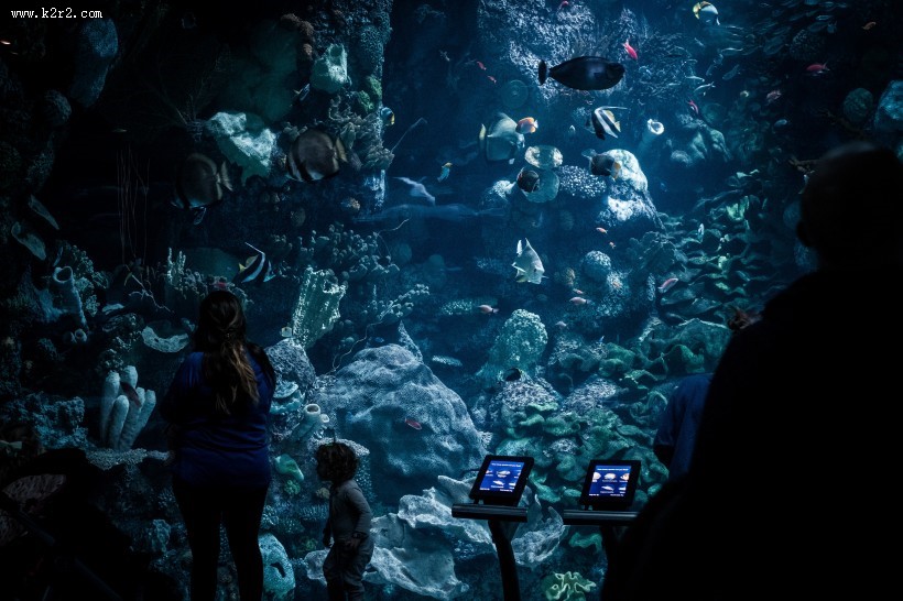 游览水族馆的人图片