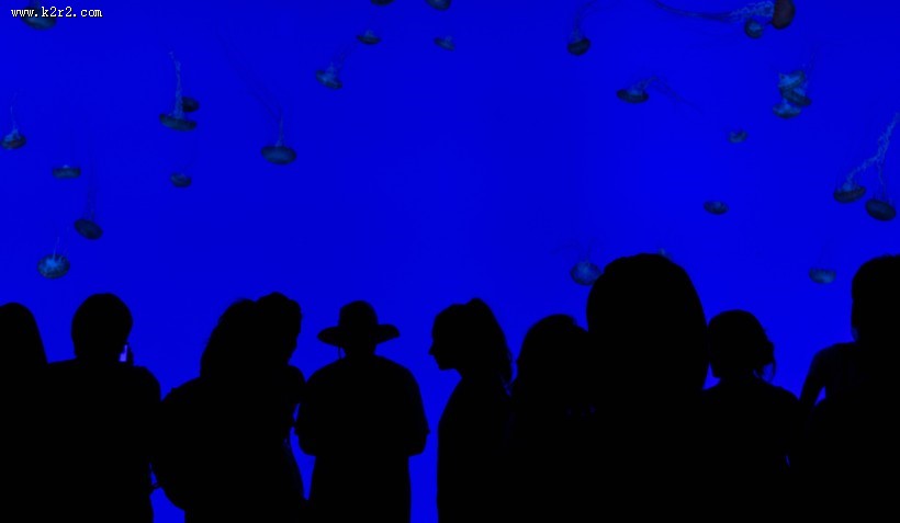 游览水族馆的人图片