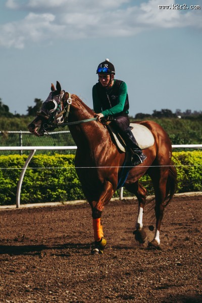 骑着马的人物图片