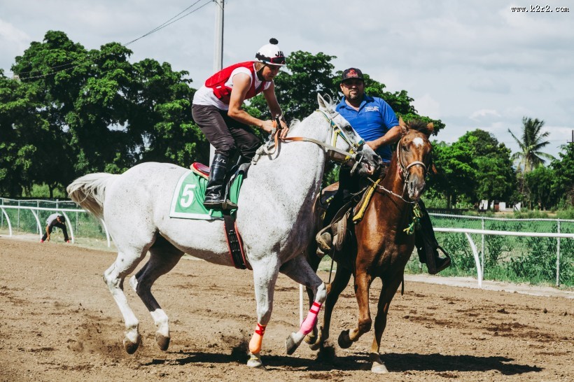骑马的男士图片