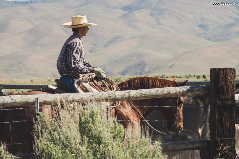 打扮酷帅的牛仔图片大全