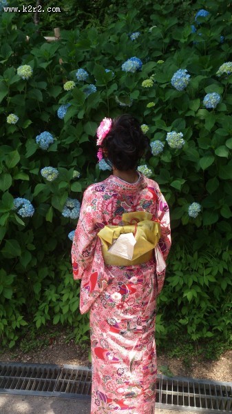 穿着和服的年轻日本女孩图片