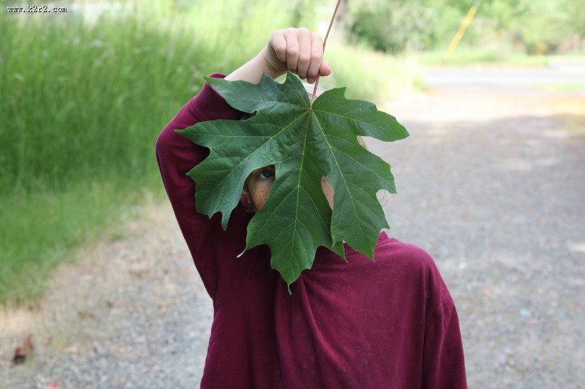 可爱的儿童图片大全