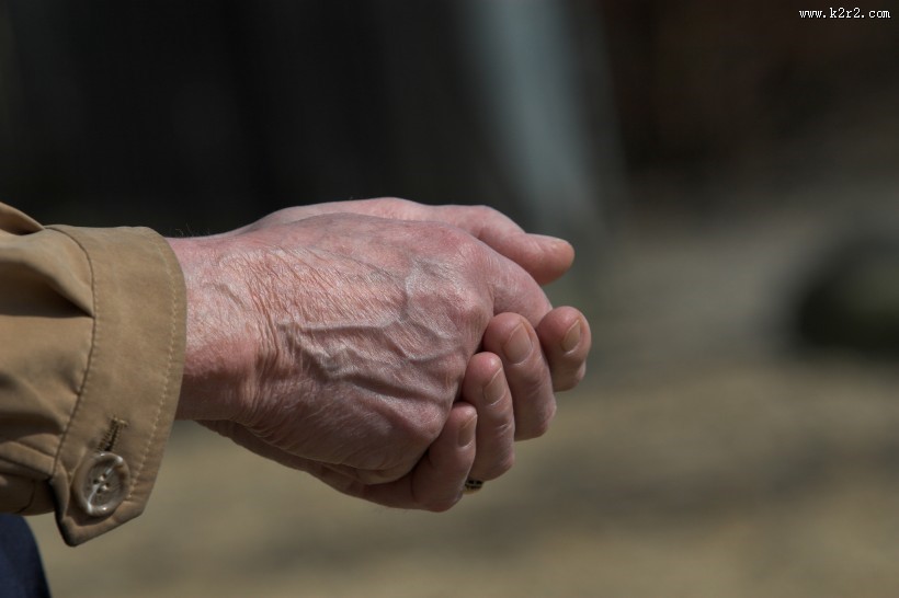 手的特写摄影图片