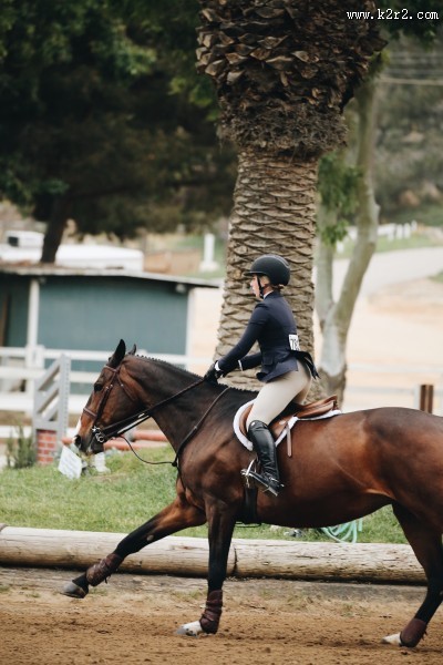 在马场骑马的美女图片