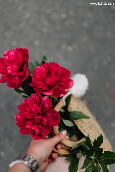 女孩提着装满鲜花的篮子图片