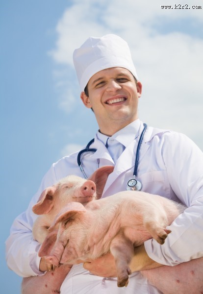 抱着猪的兽医图片