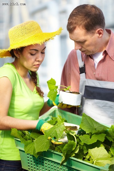 采摘蔬果的农民图片