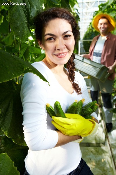 采摘蔬果的农民图片