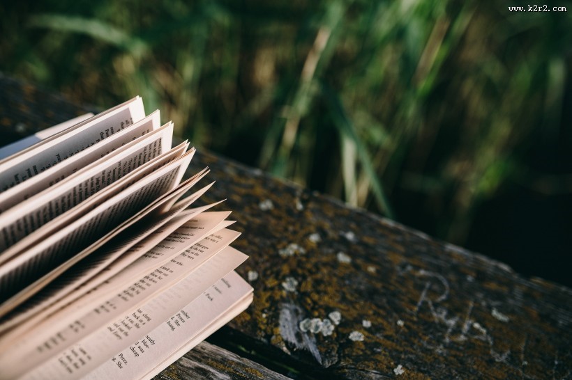 女孩在湖边阅读的图片