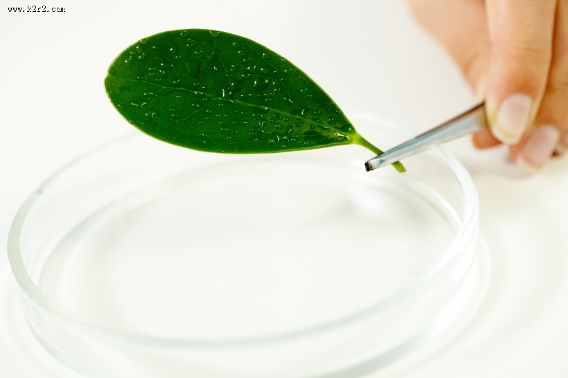 实验室里的科学实验图片