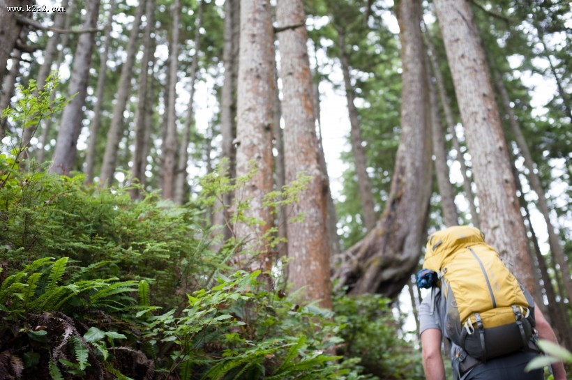 背包徒步旅行的人图片