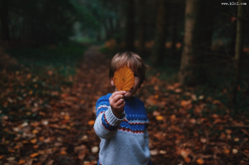 手里拿着一片叶子的人图片