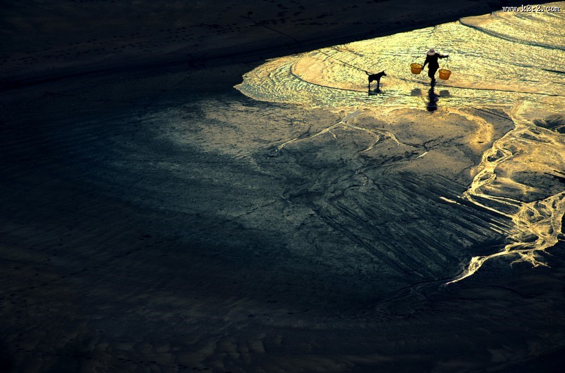 在工作的人们图片