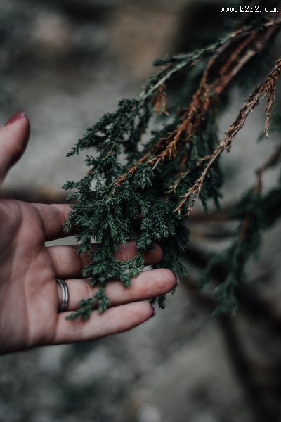 手轻柔的触碰东西图片大全