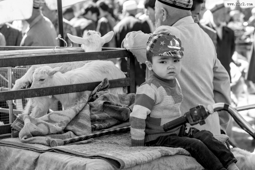 可爱的小男孩图片