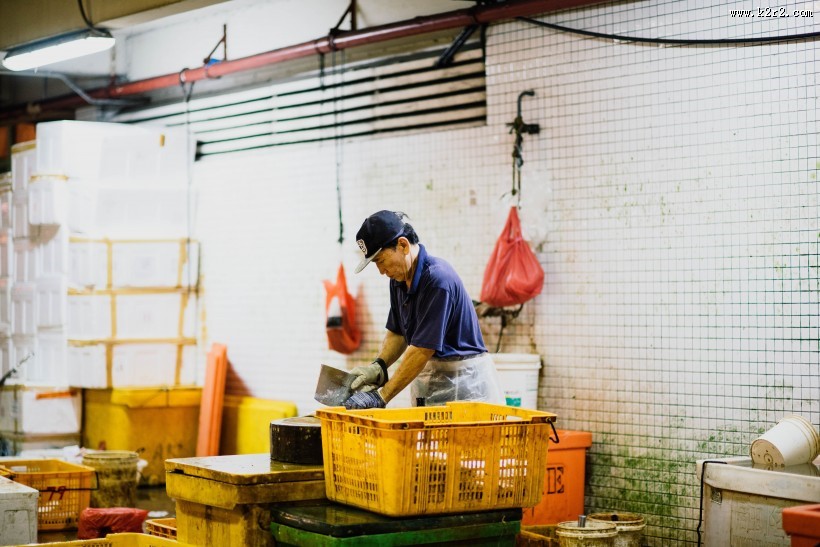 在工作的人们的图片