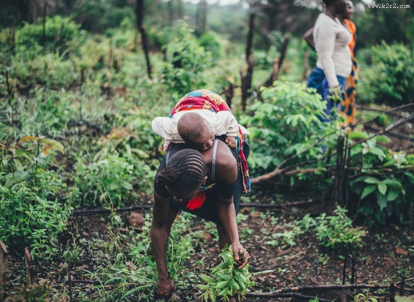 在塞拉利昂共和国生活的人图片