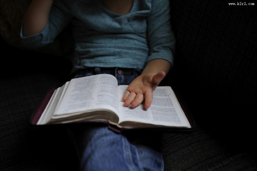 人们在看书的图片大全