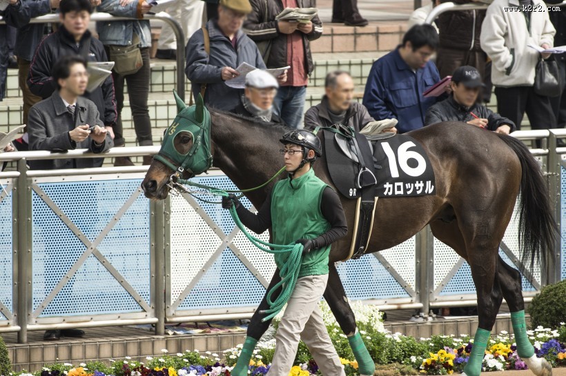 牵着马的男子图片