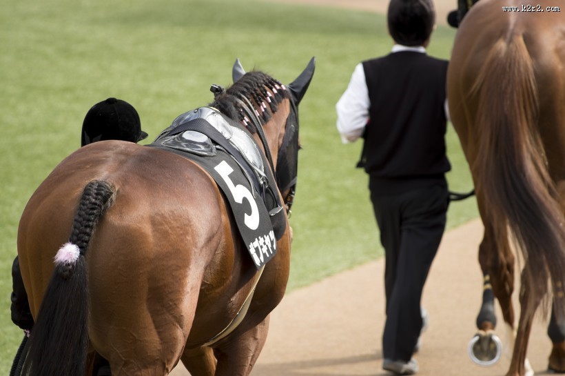 牵着马的男子图片