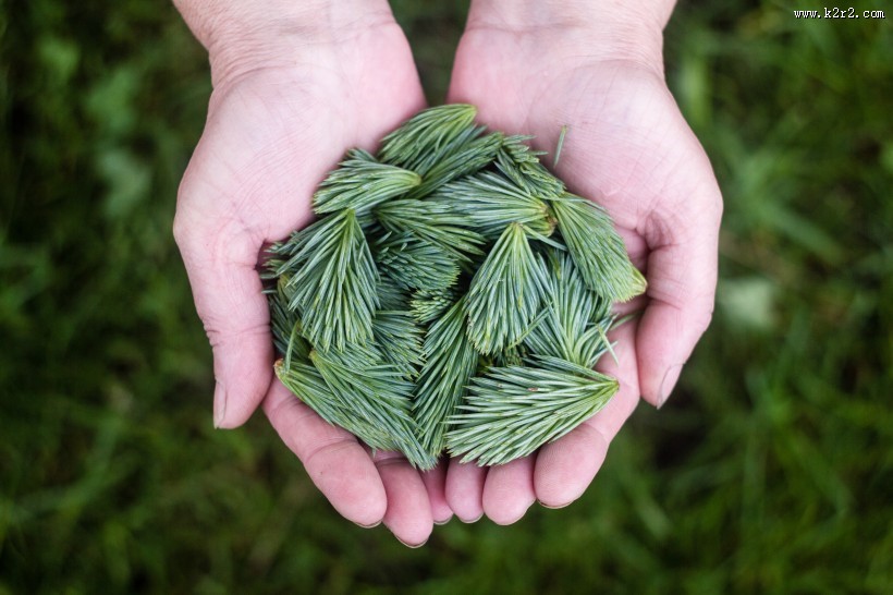 双手捧着各种东西图片