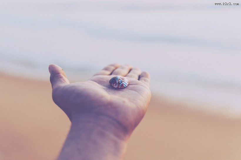 手心里的各种东西图片