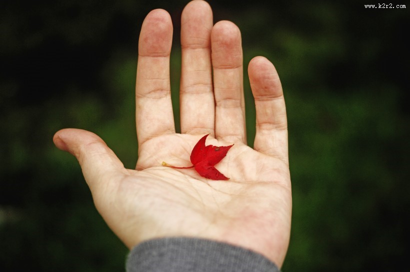 手心里的各种东西图片
