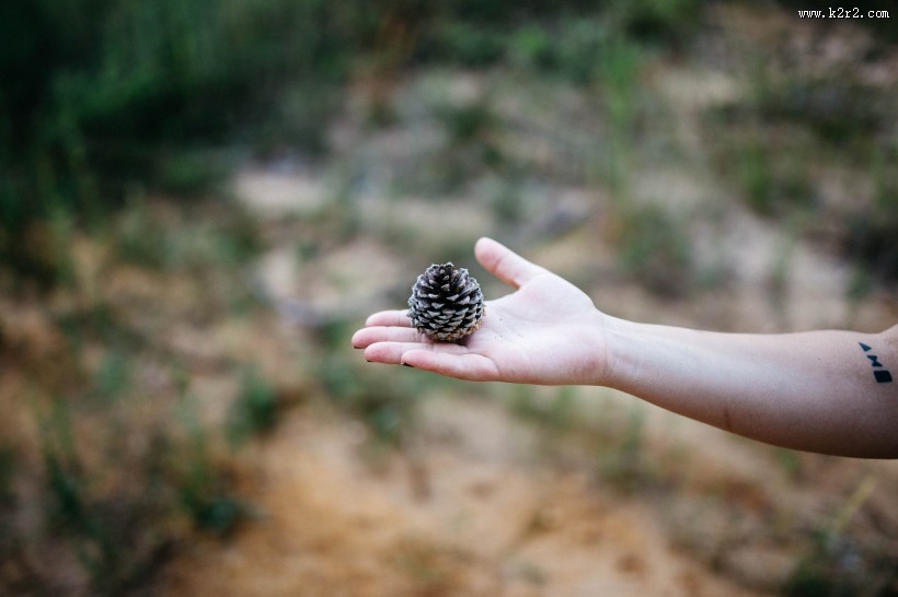 手心里的各种东西图片