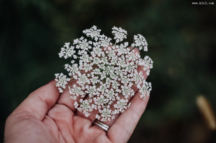 手心里的各种东西图片