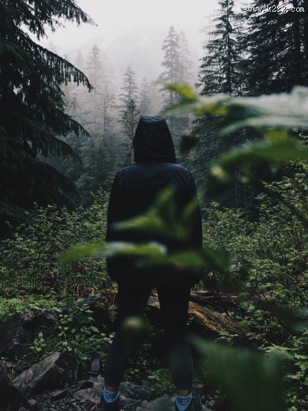 人物全身背影照图片