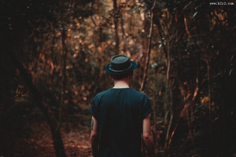 男孩的背影图片