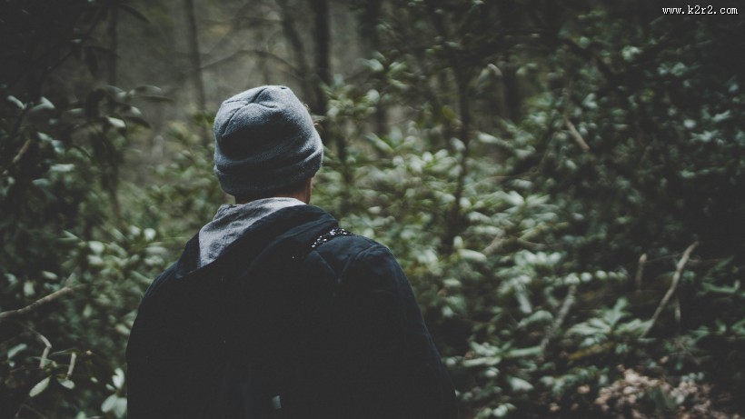男孩的背影图片