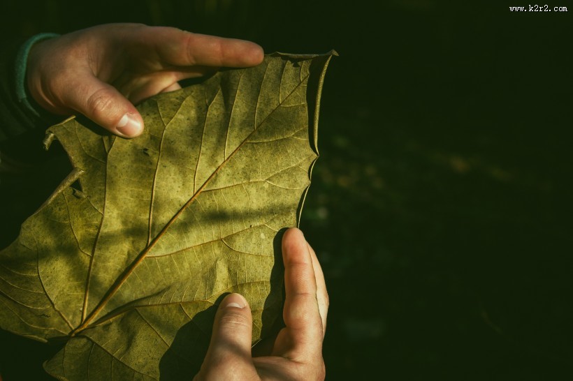 做各种手势动作的人图片