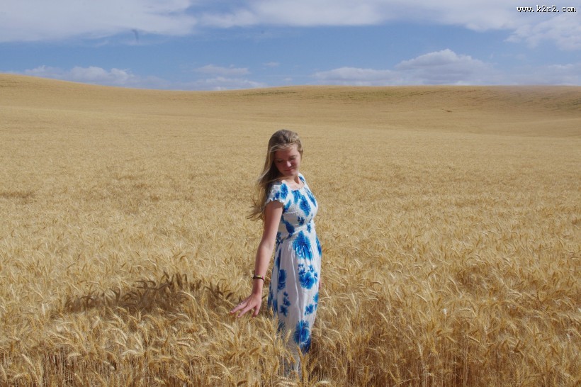 站在麦田上的人图片