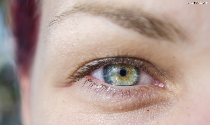 美丽的眼睛图片大全