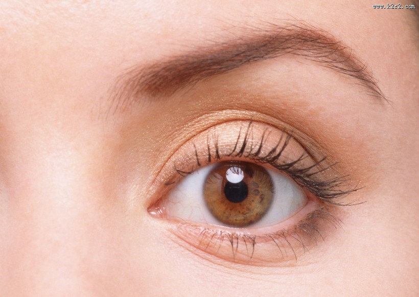 女士眉毛眼睛的特写图片大全
