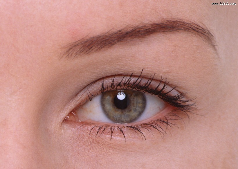 女士眉毛眼睛的特写图片大全