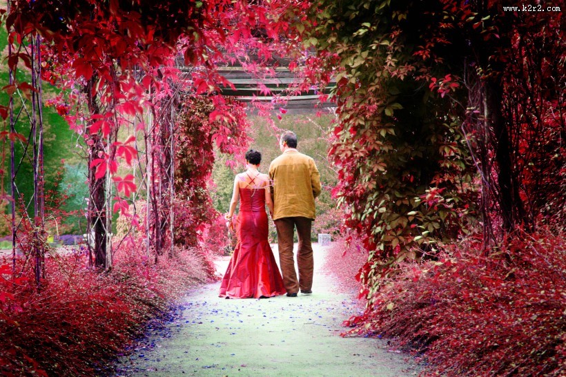 新郎和新娘浪漫婚礼图片