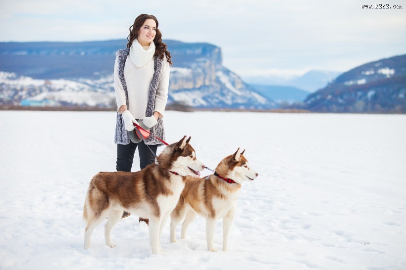 欧美美女和哈士奇玩耍图片