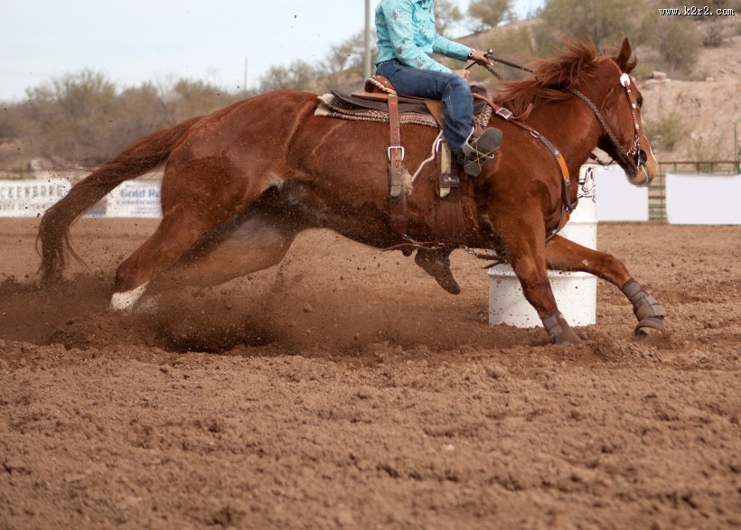 美女训马师图片