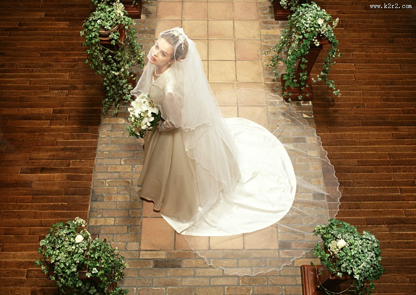 戴着头纱的新娘图片