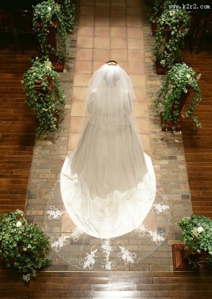 戴着头纱的新娘图片