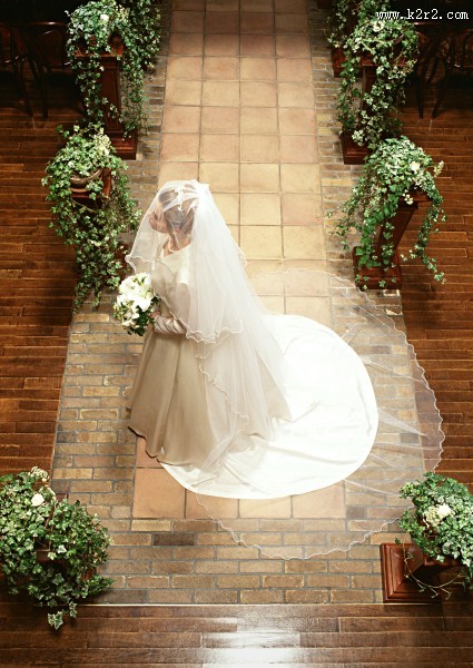 戴着头纱的新娘图片