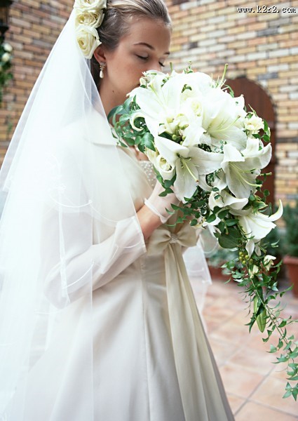 身穿白婚纱的新娘图片